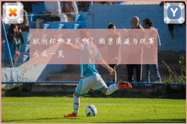 欧洲杯哪里买啊?购票渠道与观赛方式一览
