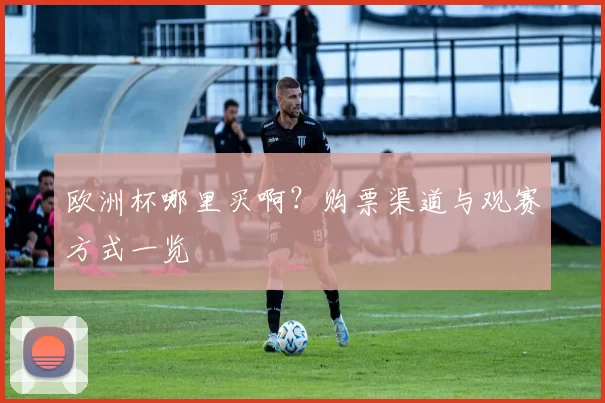 欧洲杯哪里买啊?购票渠道与观赛方式一览