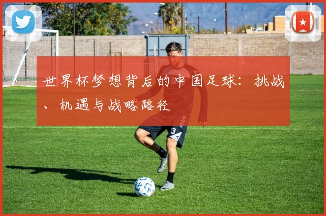 世界杯梦想背后的中国足球:挑战、机遇与战略路径