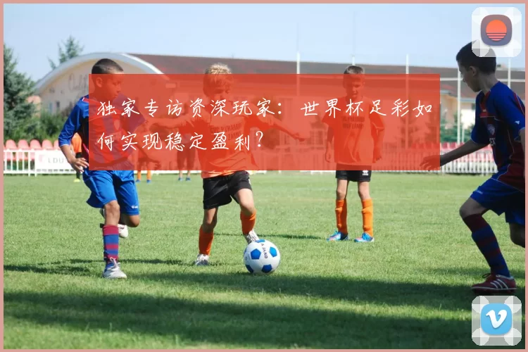 独家专访资深玩家：世界杯足彩如何实现稳定盈利？