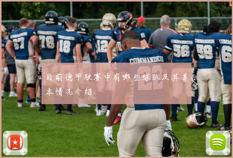 目前德甲联赛中有哪些球队及其基本情况介绍