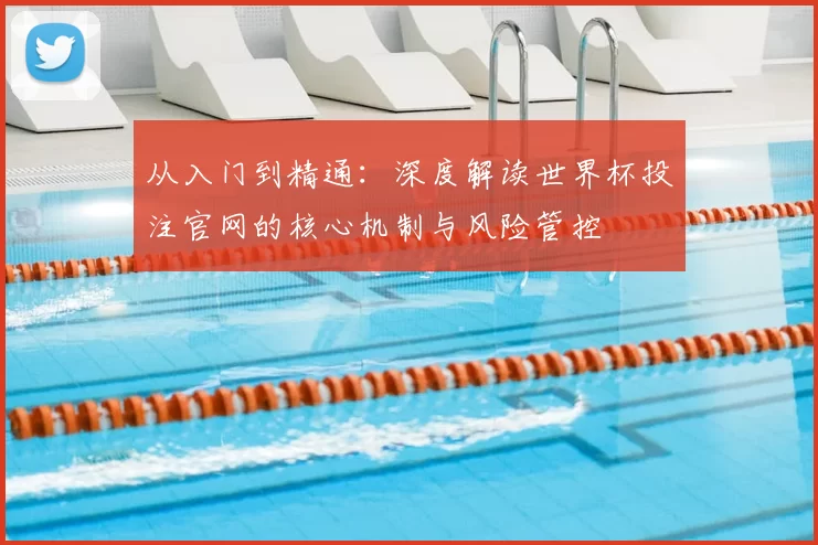 从入门到精通:深度解读世界杯投注官网的核心机制与风险管控