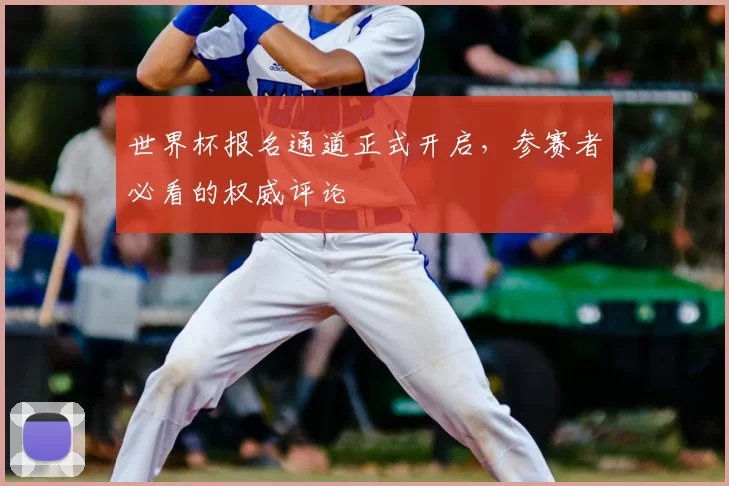 世界杯报名通道正式开启，参赛者必看的权威评论