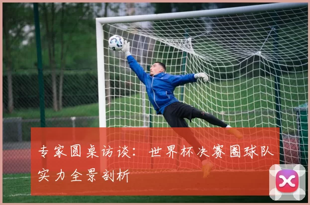 专家圆桌访谈:世界杯决赛圈球队实力全景剖析