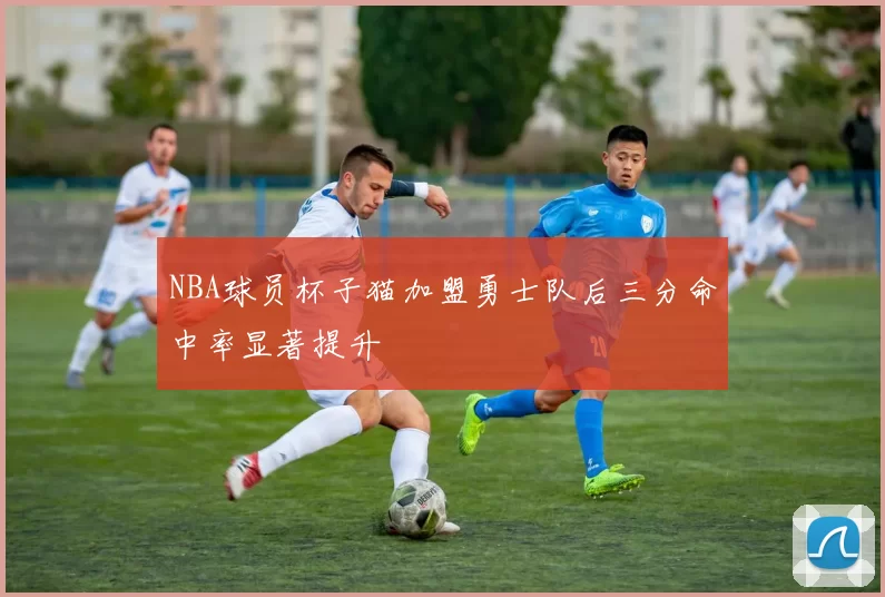 NBA球员杯子猫加盟勇士队后三分命中率显著提升