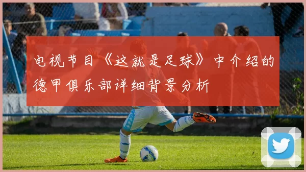 电视节目《这就是足球》中介绍的德甲俱乐部详细背景分析