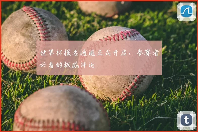 世界杯报名通道正式开启,参赛者必看的权威评论