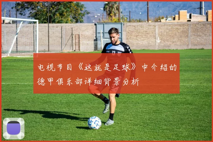 电视节目《这就是足球》中介绍的德甲俱乐部详细背景分析