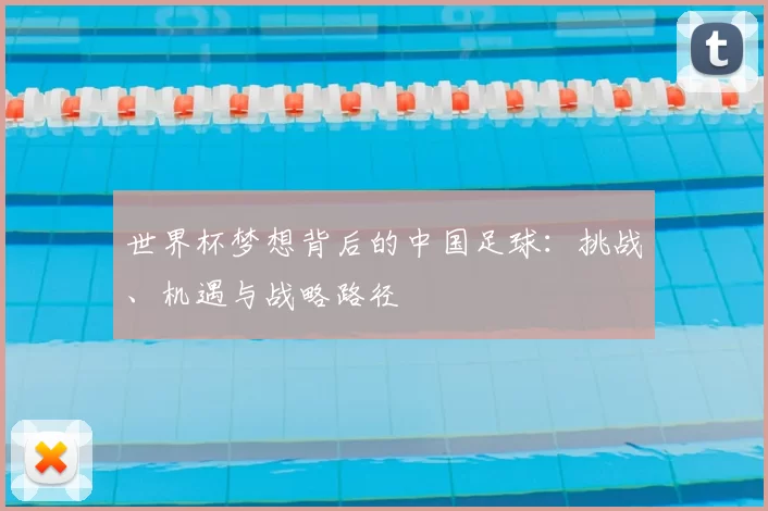 世界杯梦想背后的中国足球:挑战、机遇与战略路径