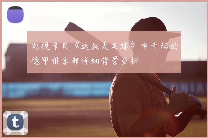 电视节目《这就是足球》中介绍的德甲俱乐部详细背景分析