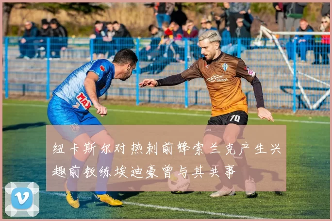 纽卡斯尔对热刺前锋索兰克产生兴趣前教练埃迪豪曾与其共事