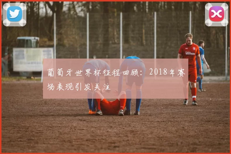 葡萄牙世界杯征程回顾:2018年赛场表现引发关注