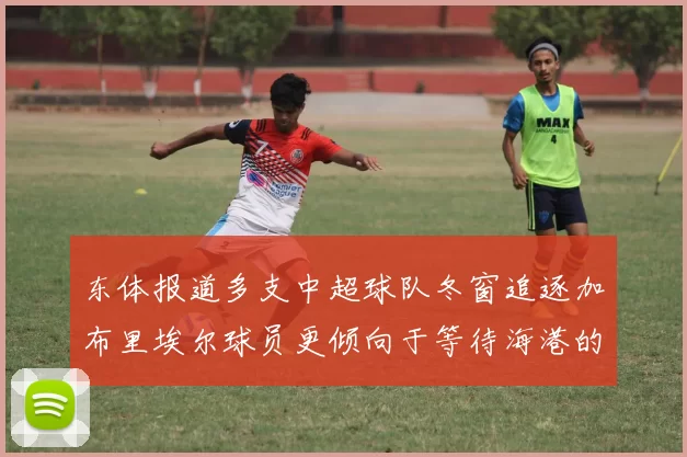 东体报道多支中超球队冬窗追逐加布里埃尔球员更倾向于等待海港的机会