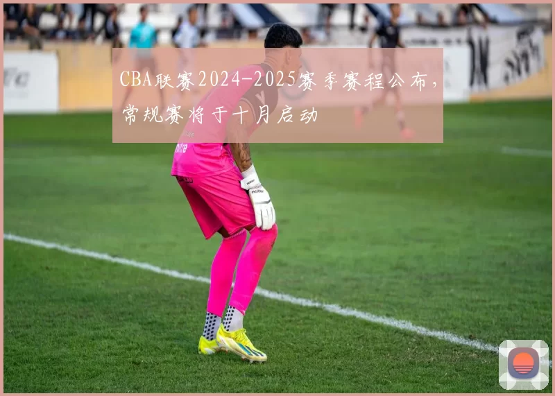CBA联赛2024-2025赛季赛程公布,常规赛将于十月启动