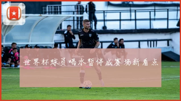 世界杯球员喝水暂停成赛场新看点