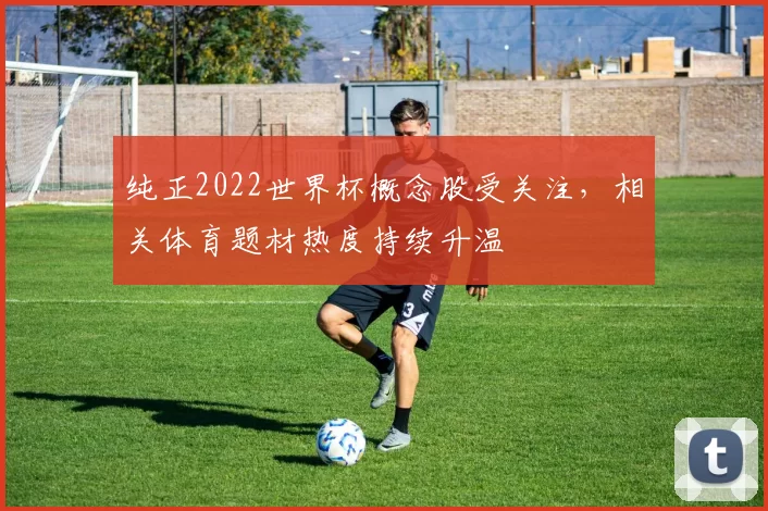 纯正2022世界杯概念股受关注,相关体育题材热度持续升温