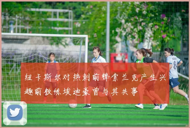 纽卡斯尔对热刺前锋索兰克产生兴趣前教练埃迪豪曾与其共事