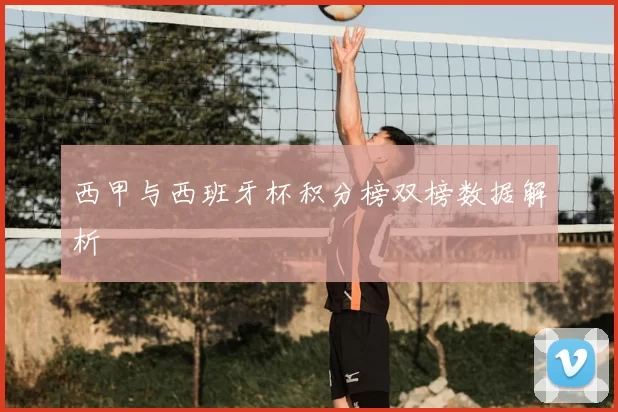 西甲与西班牙杯积分榜双榜数据解析