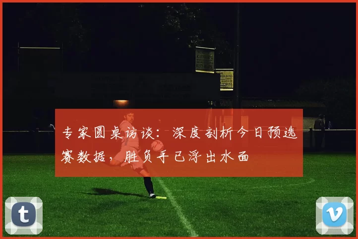 专家圆桌访谈：深度剖析今日预选赛数据，胜负手已浮出水面