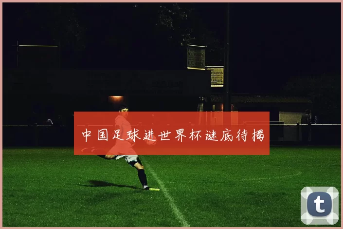 中国足球进世界杯谜底待揭