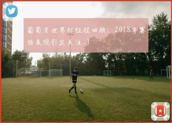 葡萄牙世界杯征程回顾：2018年赛场表现引发关注_1