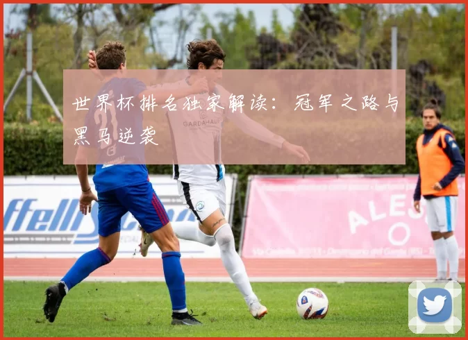 世界杯排名独家解读:冠军之路与黑马逆袭