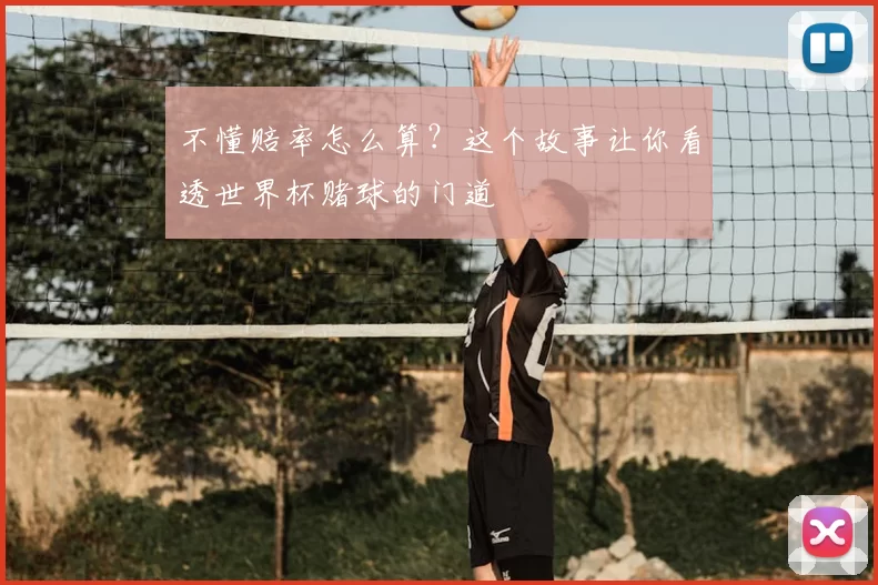 不懂赔率怎么算？这个故事让你看透世界杯赌球的门道