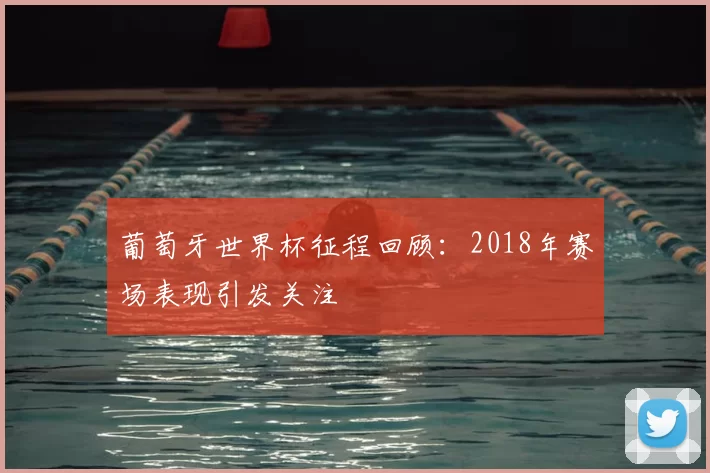 葡萄牙世界杯征程回顾：2018年赛场表现引发关注
