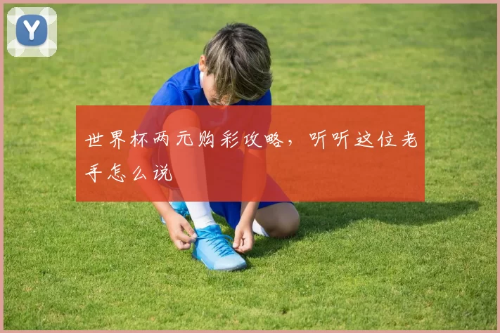 世界杯两元购彩攻略,听听这位老手怎么说